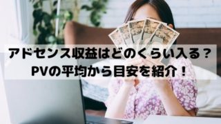 アドセンス収益はどのくらい入る？PVの平均から目安を紹介！